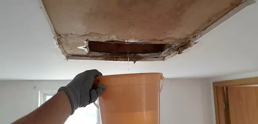 Ceiling Mold Repair Conley 